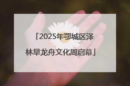 2025年鄂城区泽林旱龙舟文化周启幕
