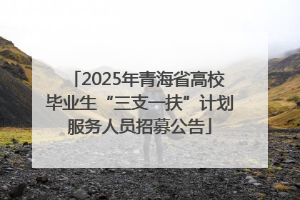 2025年青海省高校毕业生“三支一扶”计划服务人员招募公告