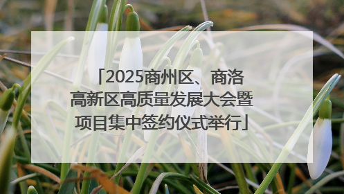 2025商州区、商洛高新区高质量发展大会暨项目集中签约仪式举行