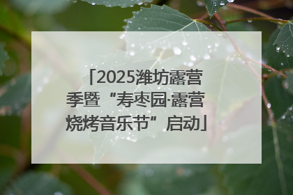 2025潍坊露营季暨“寿枣园·露营烧烤音乐节”启动