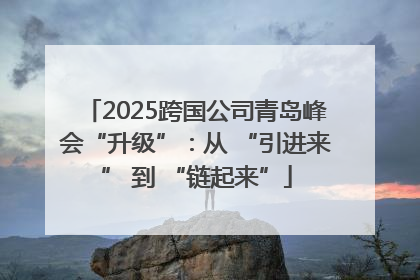 2025跨国公司青岛峰会“升级”：从 “引进来” 到 “链起来”