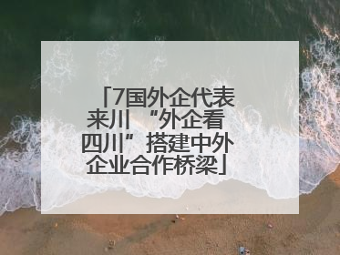 7国外企代表来川 “外企看四川”搭建中外企业合作桥梁