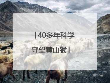 40多年科学守望黄山猴