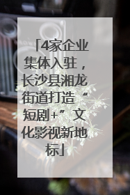 4家企业集体入驻，长沙县湘龙街道打造“短剧+”文化影视新地标
