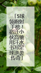 5球领跑射手榜！宿迁小伙高驰用汗水书写足球逆袭传奇