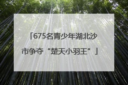 675名青少年湖北沙市争夺“楚天小羽王”
