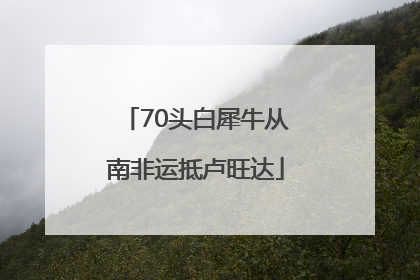 70头白犀牛从南非运抵卢旺达