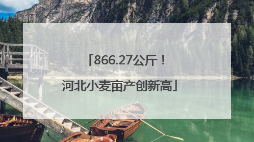 866.27公斤！河北小麦亩产创新高
