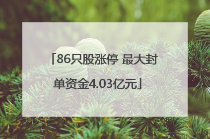 86只股涨停 最大封单资金4.03亿元
