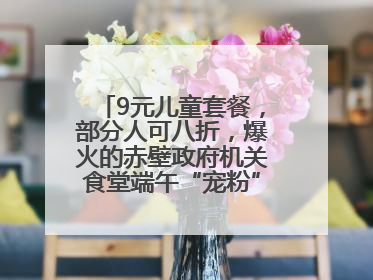 9元儿童套餐，部分人可八折，爆火的赤壁政府机关食堂端午“宠粉” 再升级