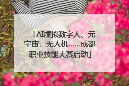 AI虚拟数字人、元宇宙、无人机……成都职业技能大赛启动