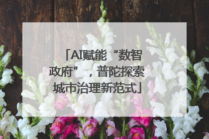 AI赋能“数智政府”，普陀探索城市治理新范式
