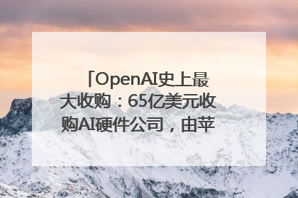 OpenAI史上最大收购：65亿美元收购AI硬件公司，由苹果前设计总监创办