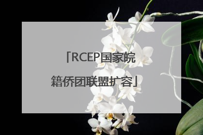RCEP国家皖籍侨团联盟扩容
