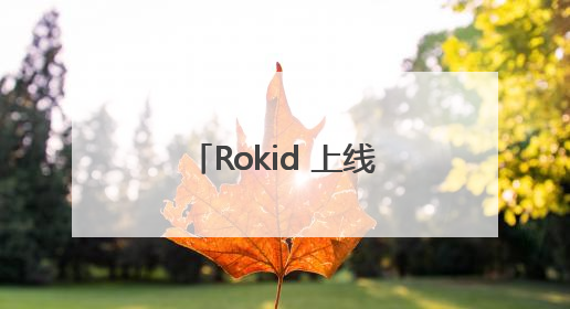 Rokid 上线全球第一个智能眼镜支付 内置支付宝
